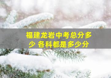 福建龙岩中考总分多少 各科都是多少分